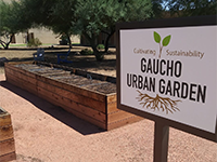 GCC Urban Garden