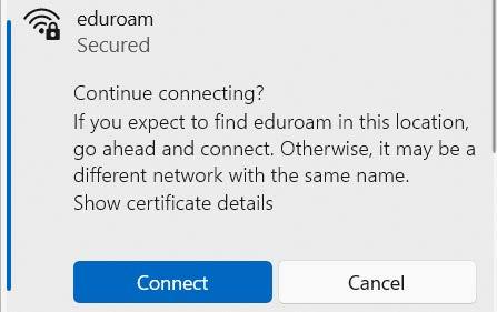 A screenshot of the Windows 'Continue connecting' confirmation dialogue.