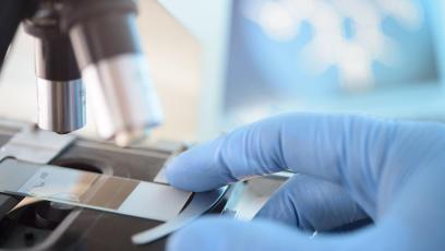 Scientist placing a slide beneath an optical microscope