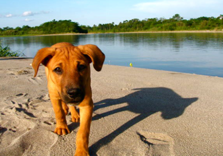 Dude on the sand in South America