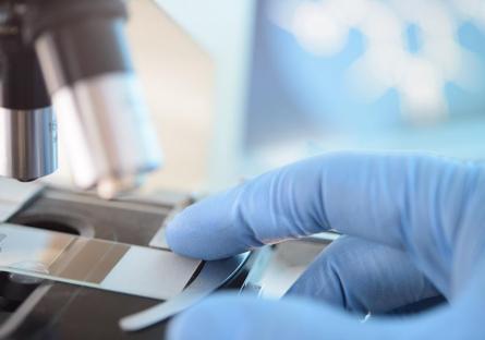 Scientist placing a slide beneath an optical microscope