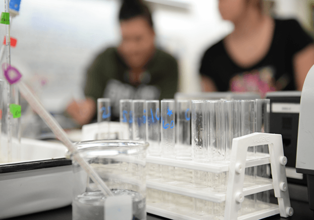 A row of test tubes in front of students at a lab table